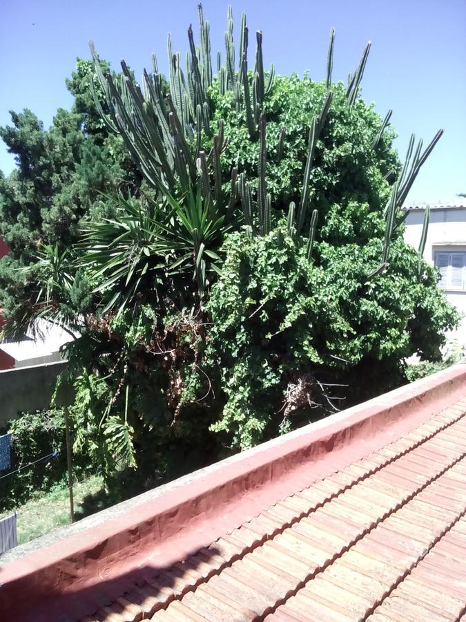 Hosteria Almirante Brown Mar del Plata Bagian luar foto